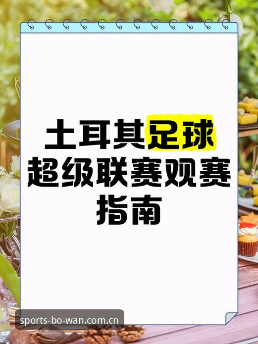 世界杯门票vs签证困局：约旦土耳其球迷的观赛难题与博万体育平台观赛体验